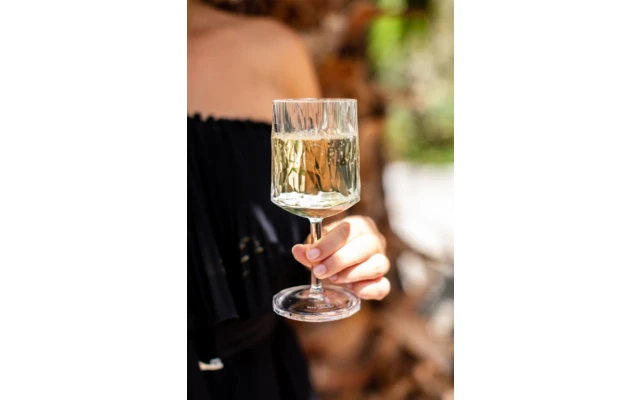 Berger Verre à Vin Set De 2 Pièces 6 Berger Verre à Vin Set De 2 Pièces – Image 4